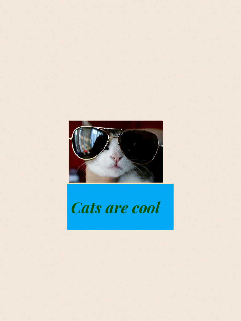 Cats are cool
