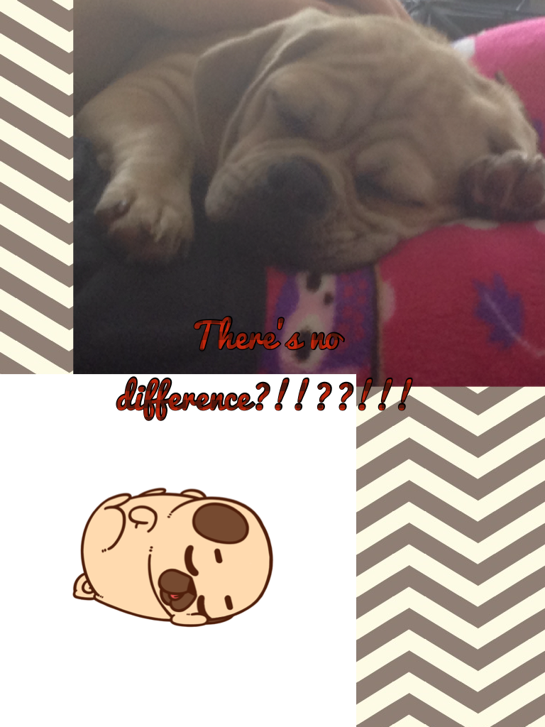 There's no difference?!!??!!!