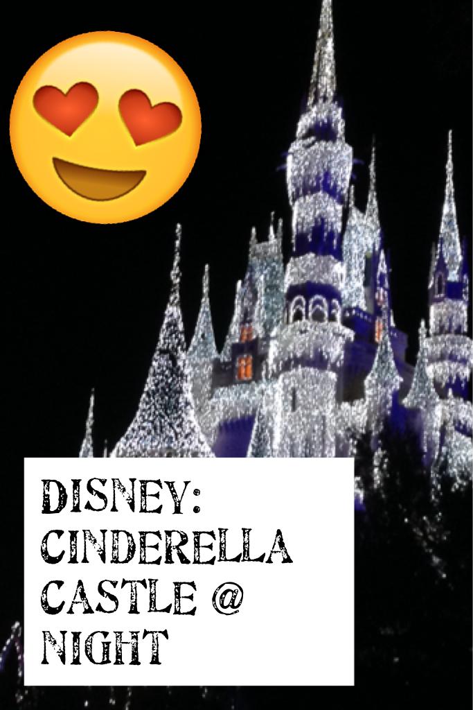 Last night at Cinderella's Castle! It looks so pretty and I'm so proud my pic turned out awesome! ✌🏻️ Merry Christmas guys! 🎄🎁😂🔫💕