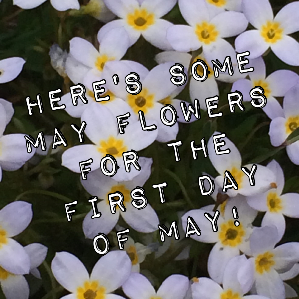 Here's some May Flowers for the first day of May!