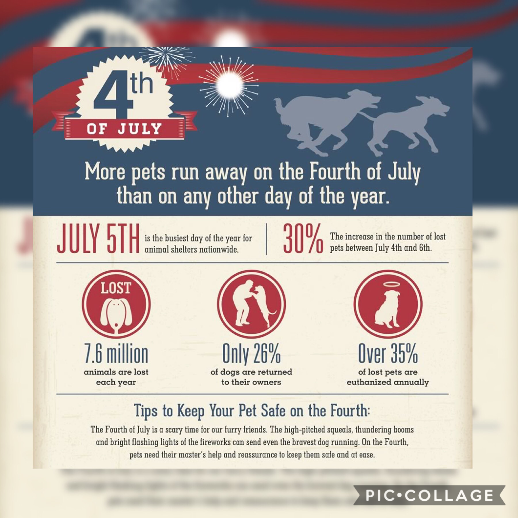 Happy Fourth Americans! Make sure you keep yourself and your pets safe, and have fun! Currently listening to Fourth of July by fall out boy. What are your plans today?