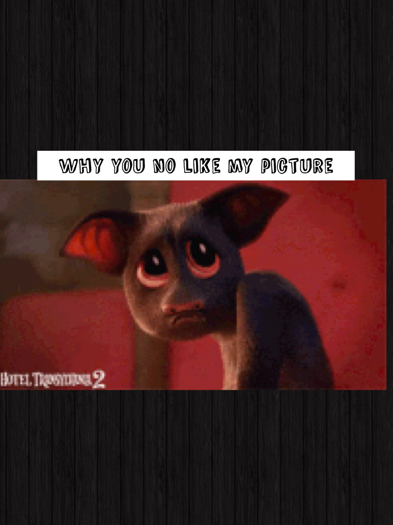 Why you no like my picture