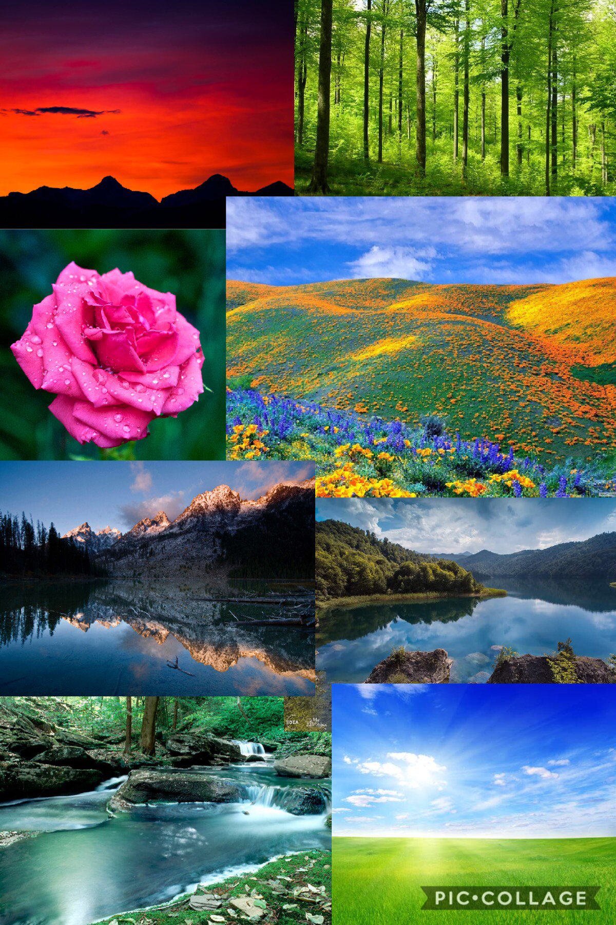 Nature collage