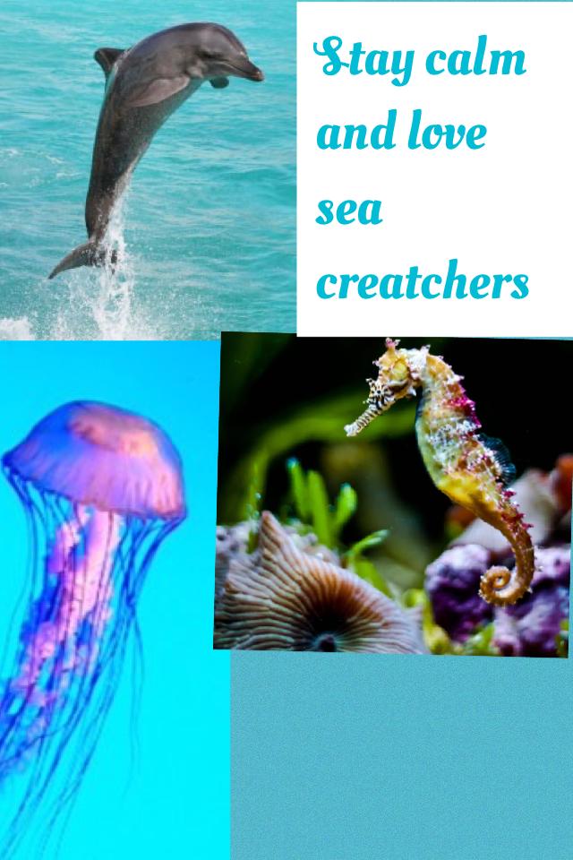 Stay calm and love sea creatchers