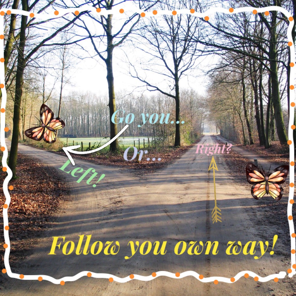 Follow you own way!
Which Butterfly are you? And in the real life? Are you a follower or a leader?! 🌸🦋