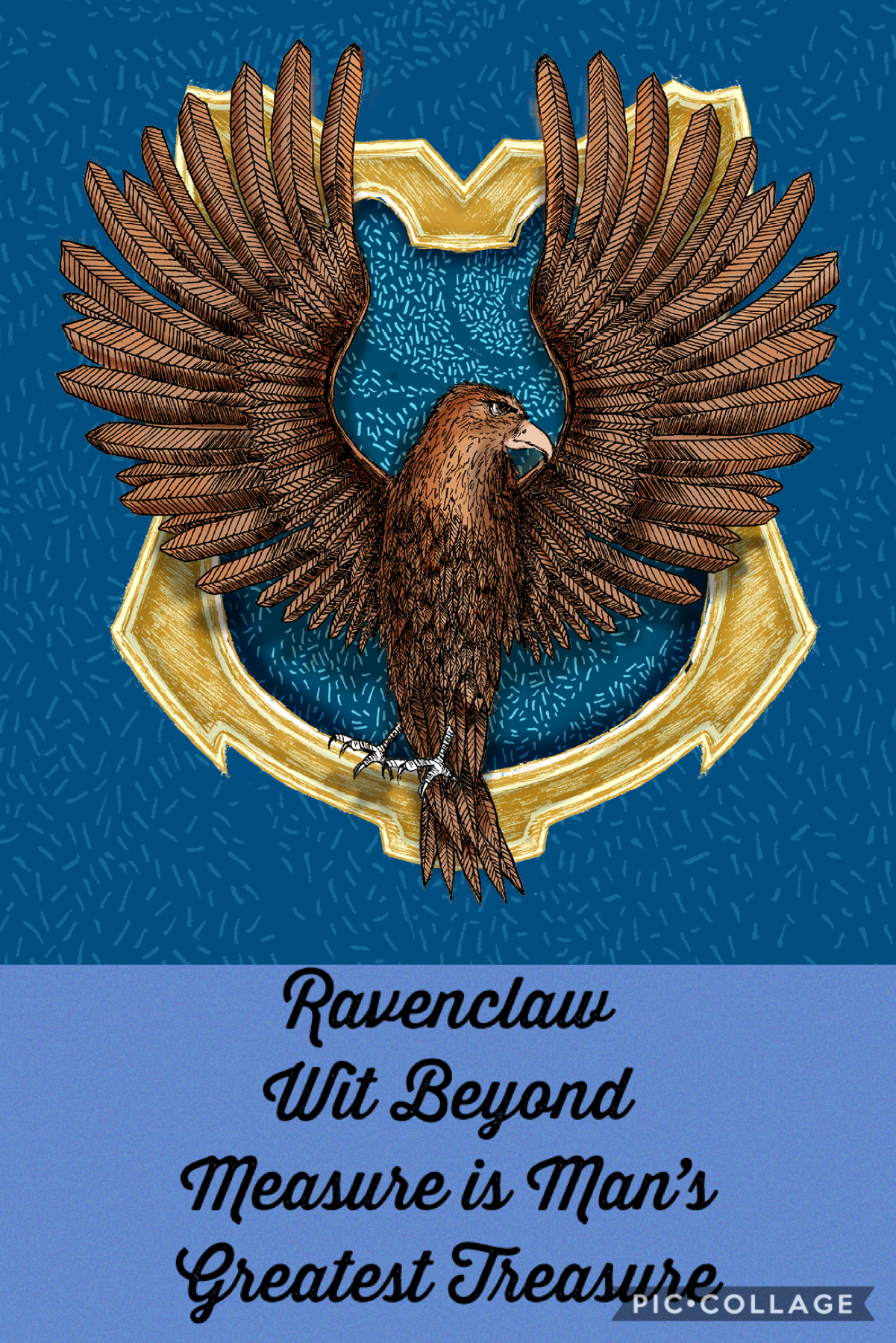 For all the Ravenclaws out there