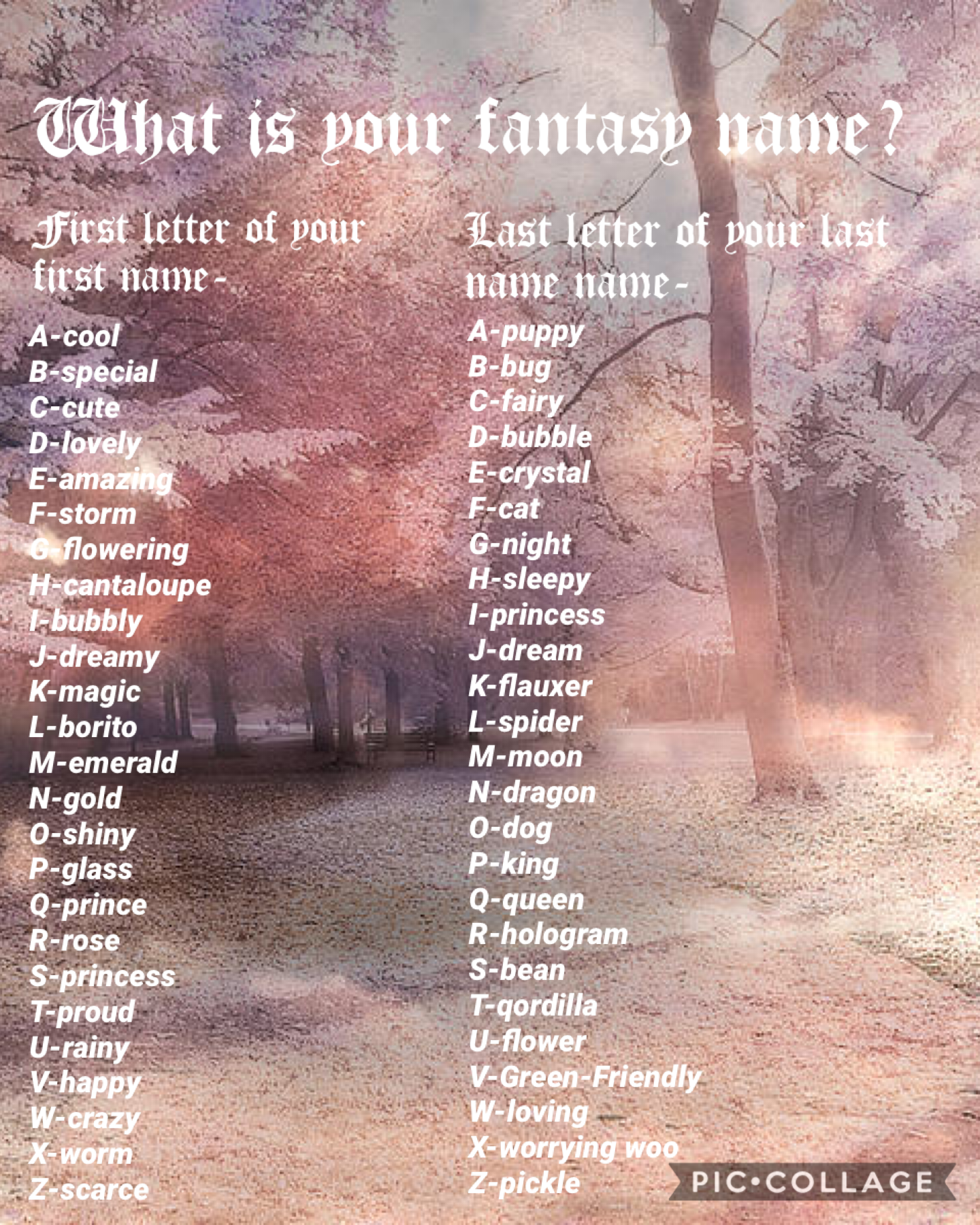 what is your fantasy name 