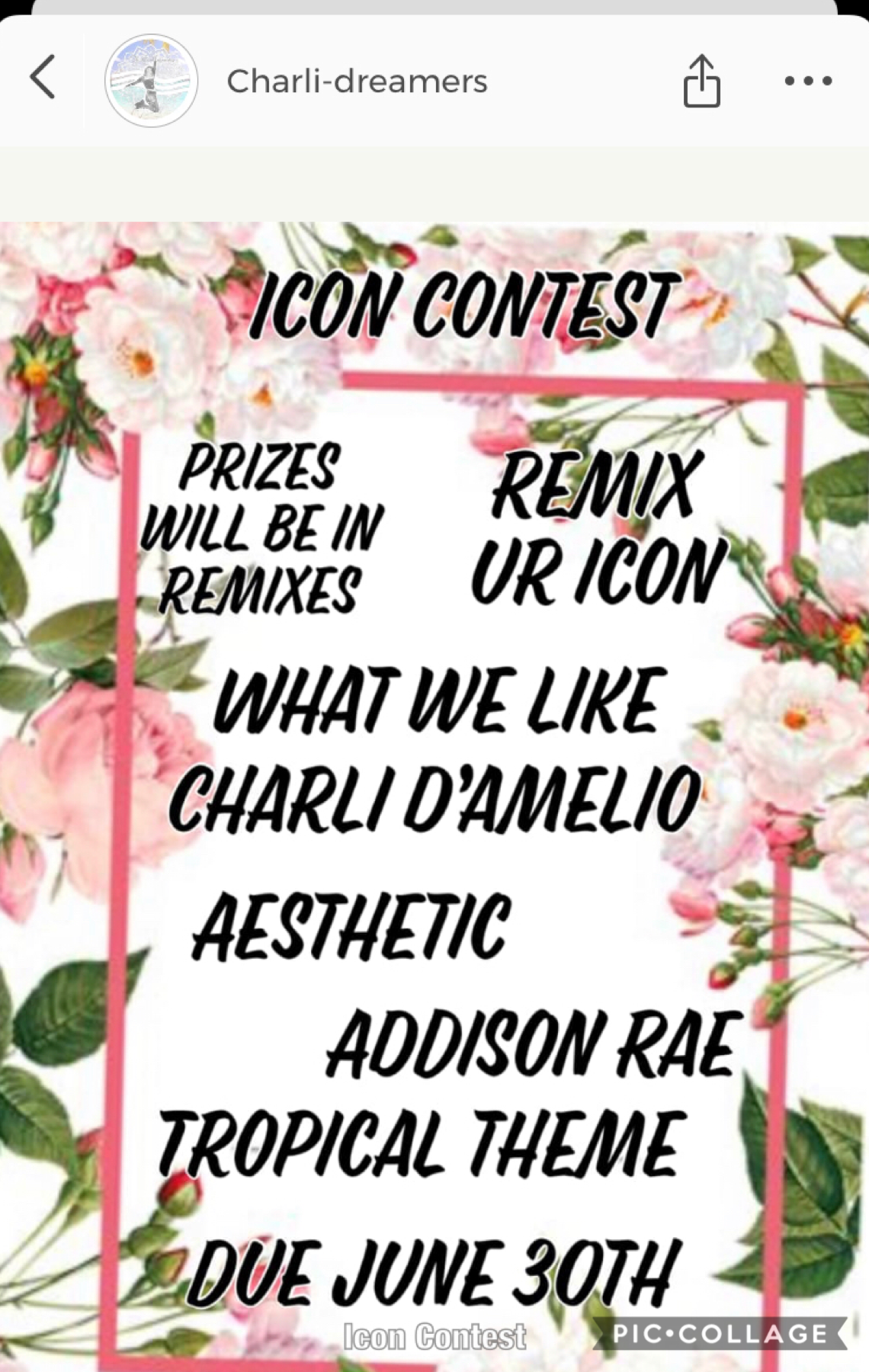 Hi Guys Pls go enter Charli-dreamer icon contest.