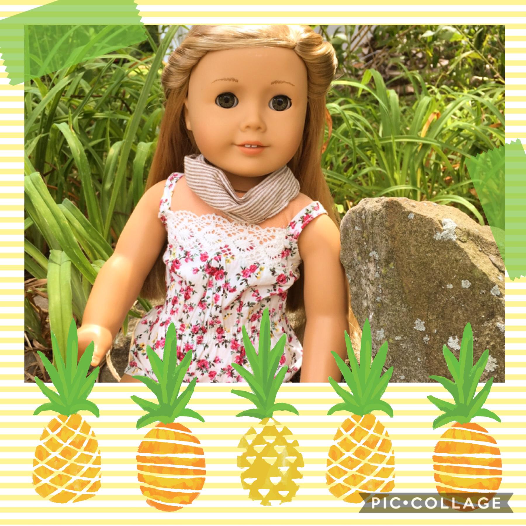 Isabelle chilling in the rocks.💞 

Make sure to like and leave feedback on this photo on my instagram, @americangirl6789.✅