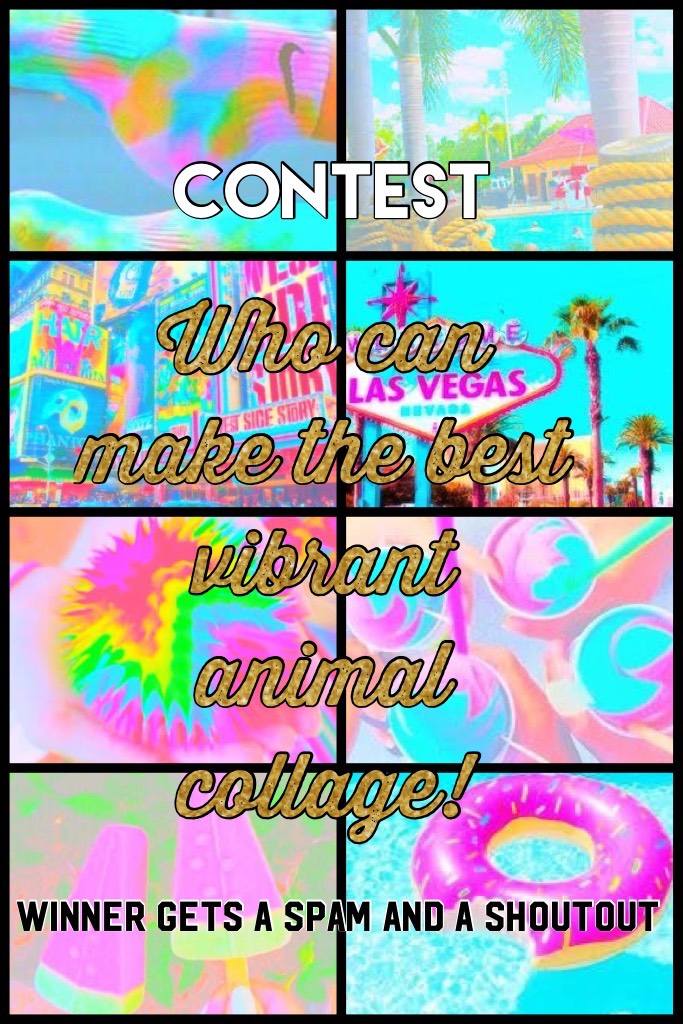 Who can make the best vibrant animal collage!