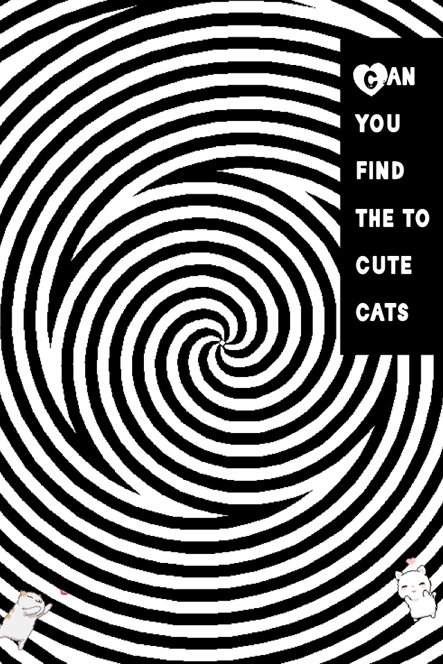 Can you find the to cute cats
