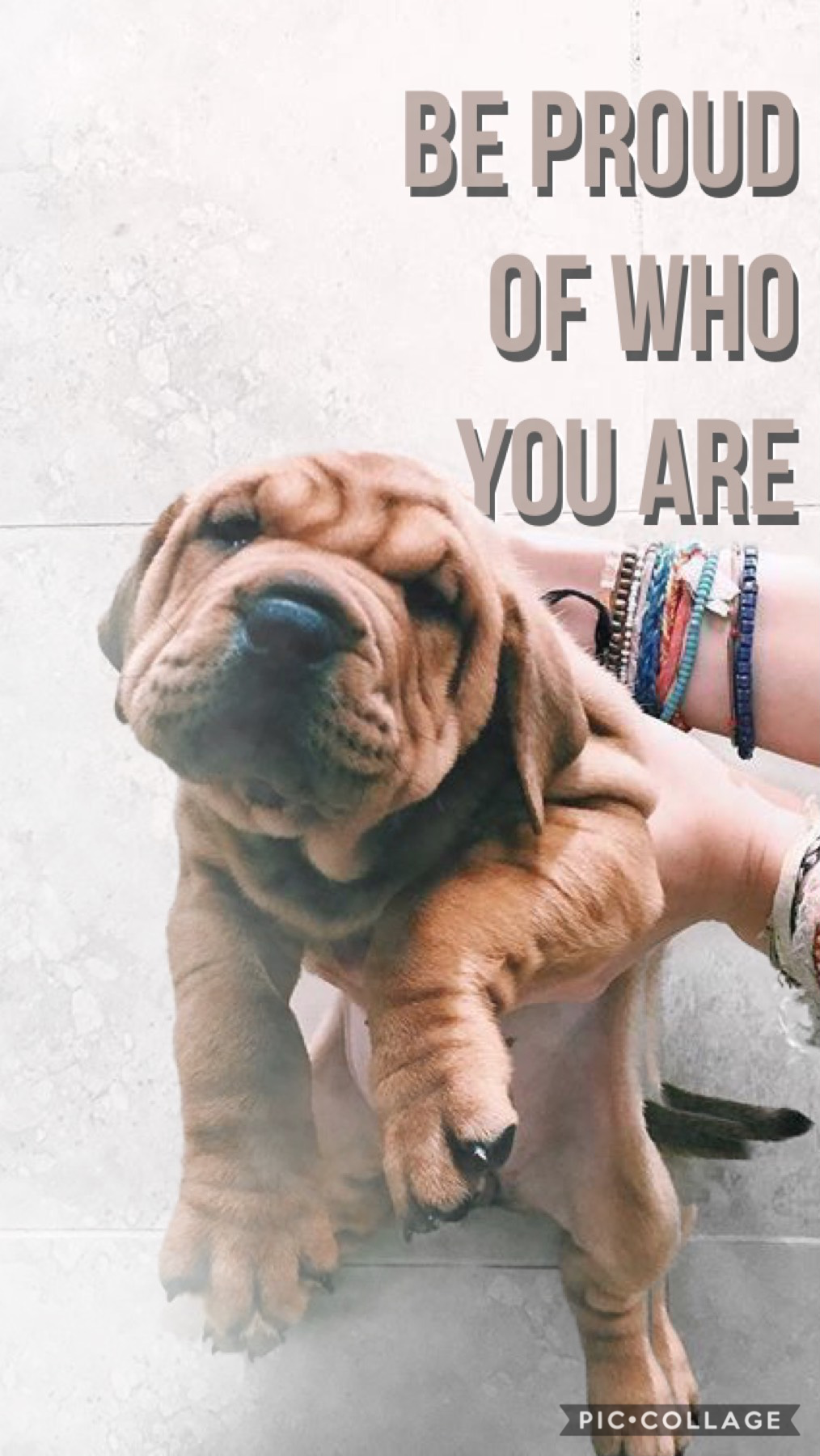 Be proud of who you are! - Bleu💙