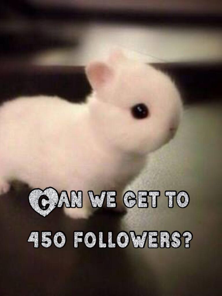 Can we get to 450 followers?