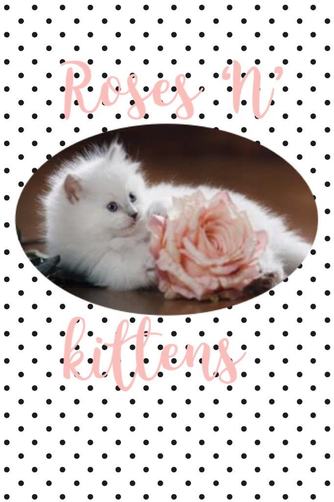 Roses ‘N’ kittens
