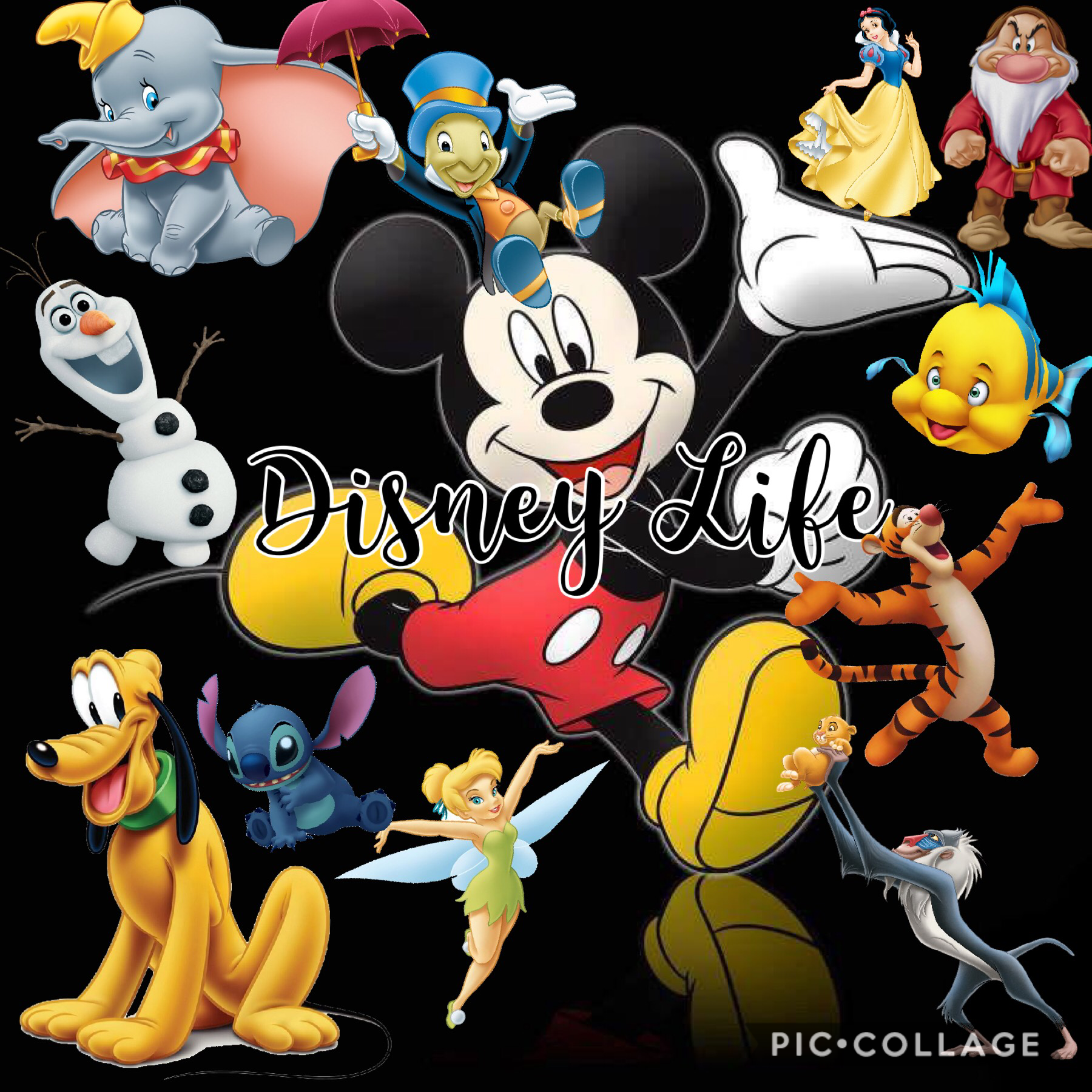 Tap
Disney Life