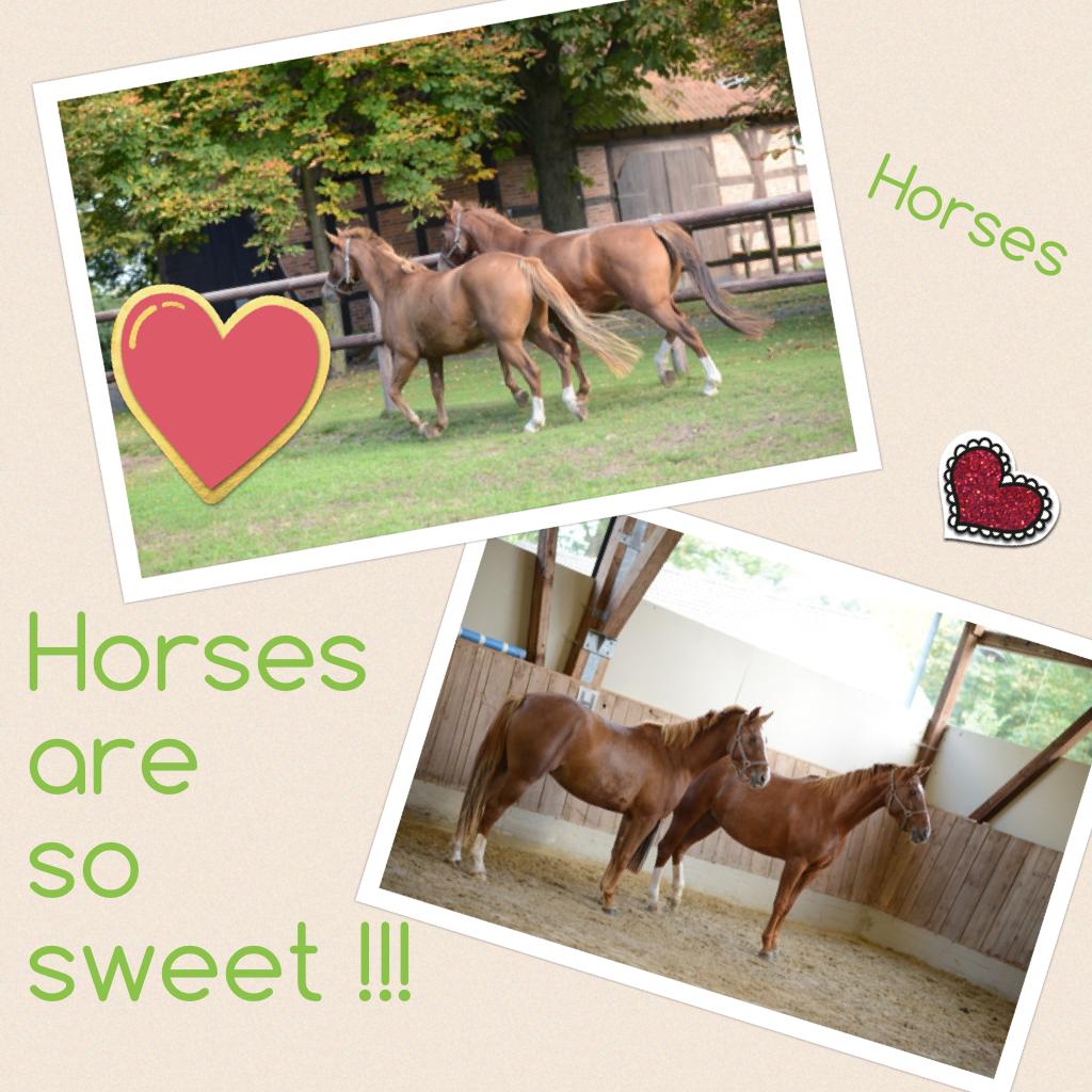 I love horses !❤️❤️❤️❤️