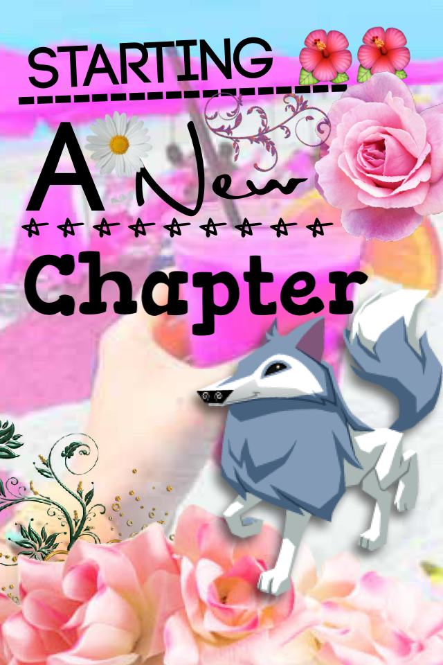 New chapter!
