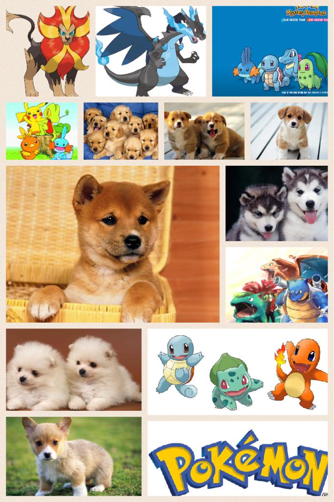 Contest which is better Pokemon or puppies