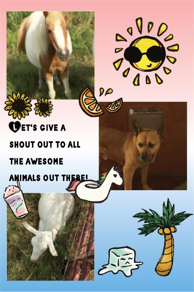 Let's give a shout out to all the awesome animals out there! Lets see how many likes we can get on this collage!!