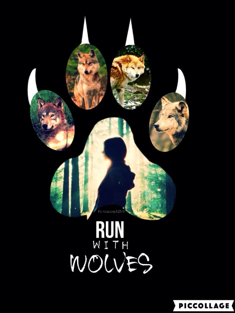 Run With Wolves