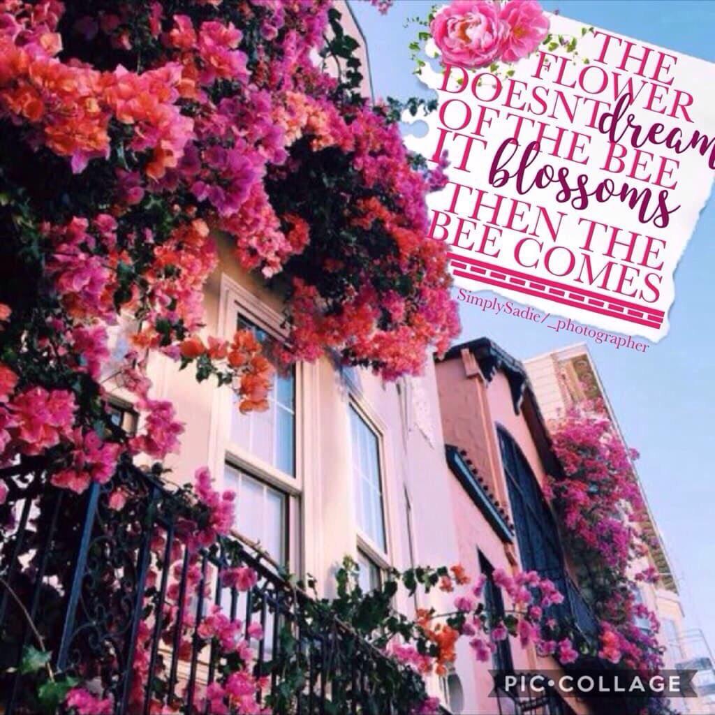 🌸collab with...🌸

The amazing _photographer! She's new but she is absolutely amazing!

I did the background and found the quote and she created the text