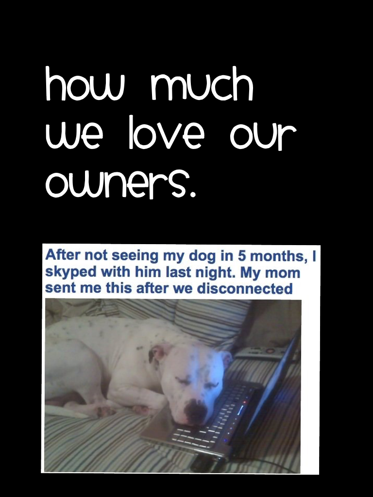 How much we love our owners.