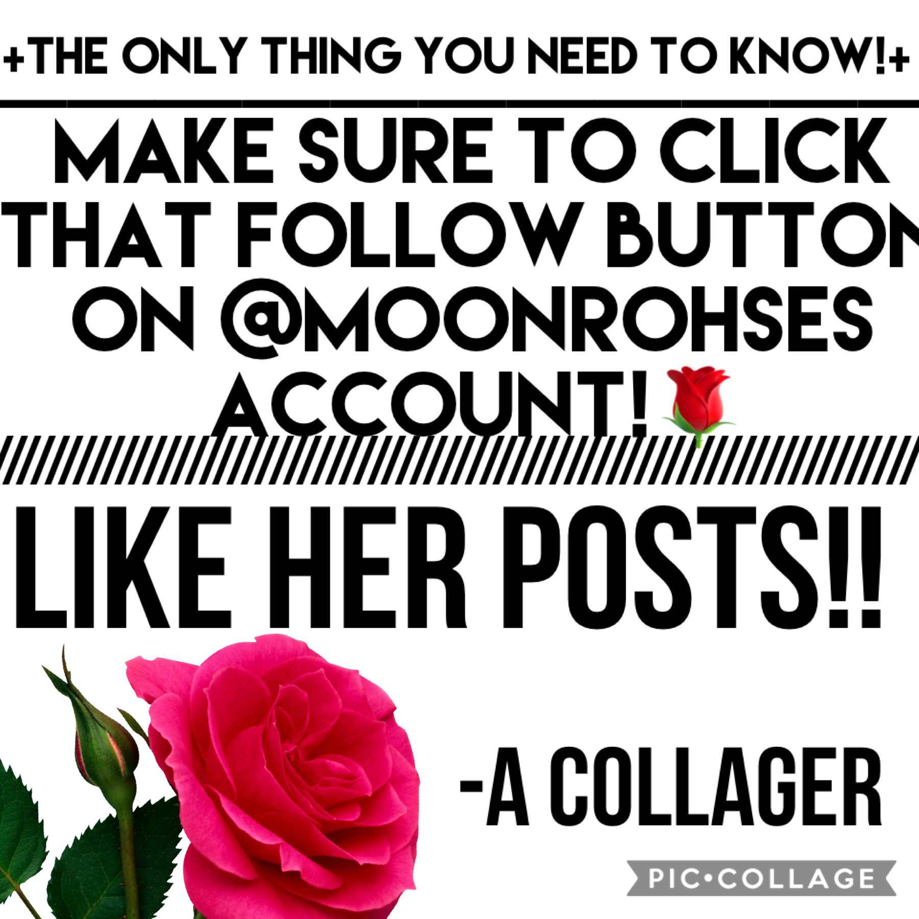Let’s get to business shall we?😂 (tap)

FOLLOW @moonrohses🌹

LIKE HER POSTS, BECAUSE THEY’RE AMAZING!!😊

🌹🌹🌹🌹🌹🌹🌹🌹🌹🌹🌹🌹🌹🌹

✌️✌️✌️✌️✌️✌️✌️☝️✌️✌️☝️☝️☝️☝️
