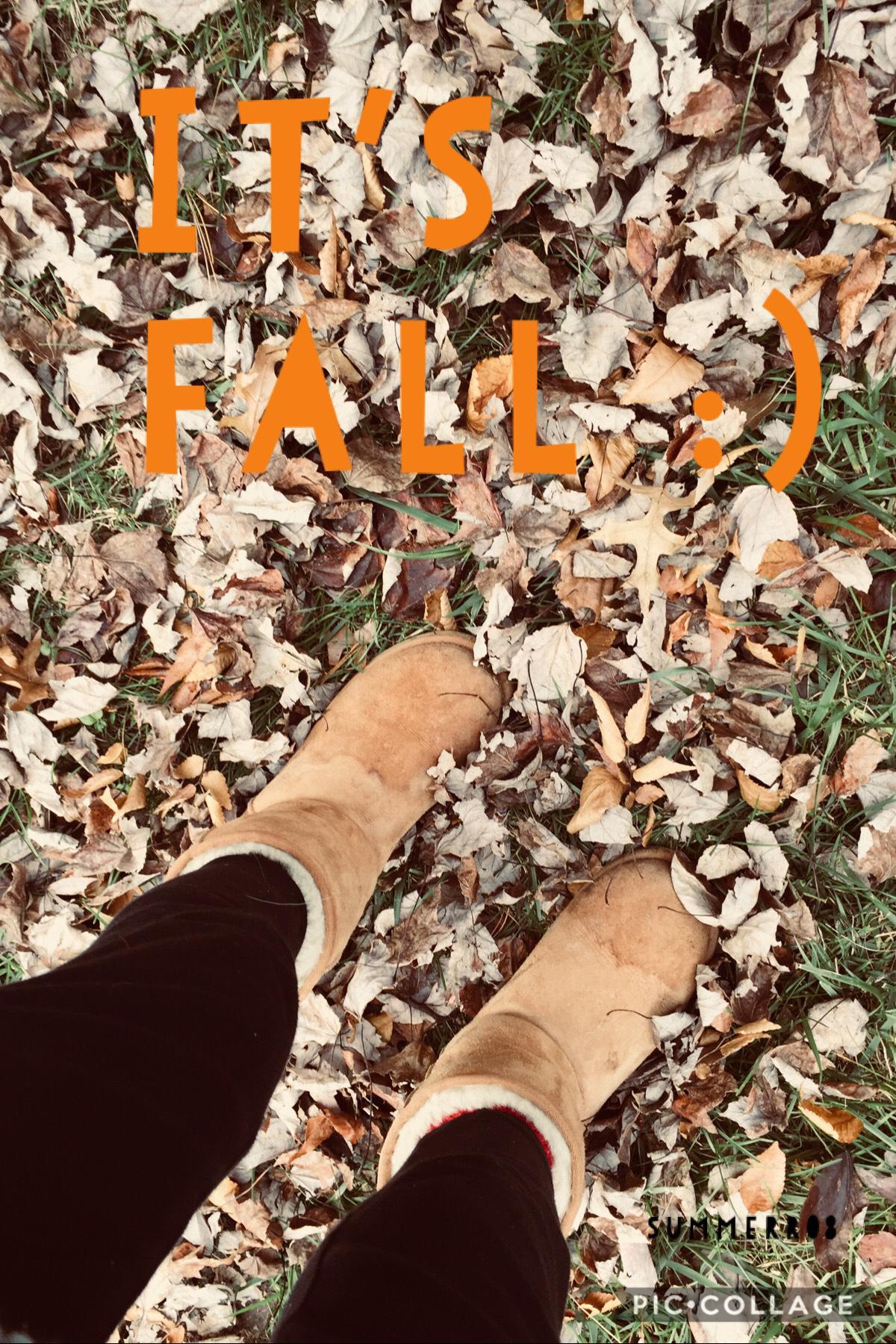 falling in love with fall :))) 
