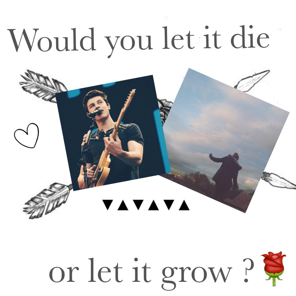 Sorry for being so inactive...
I'll do my best from now on, promise !
Song: Roses-Shawn Mendes 💍