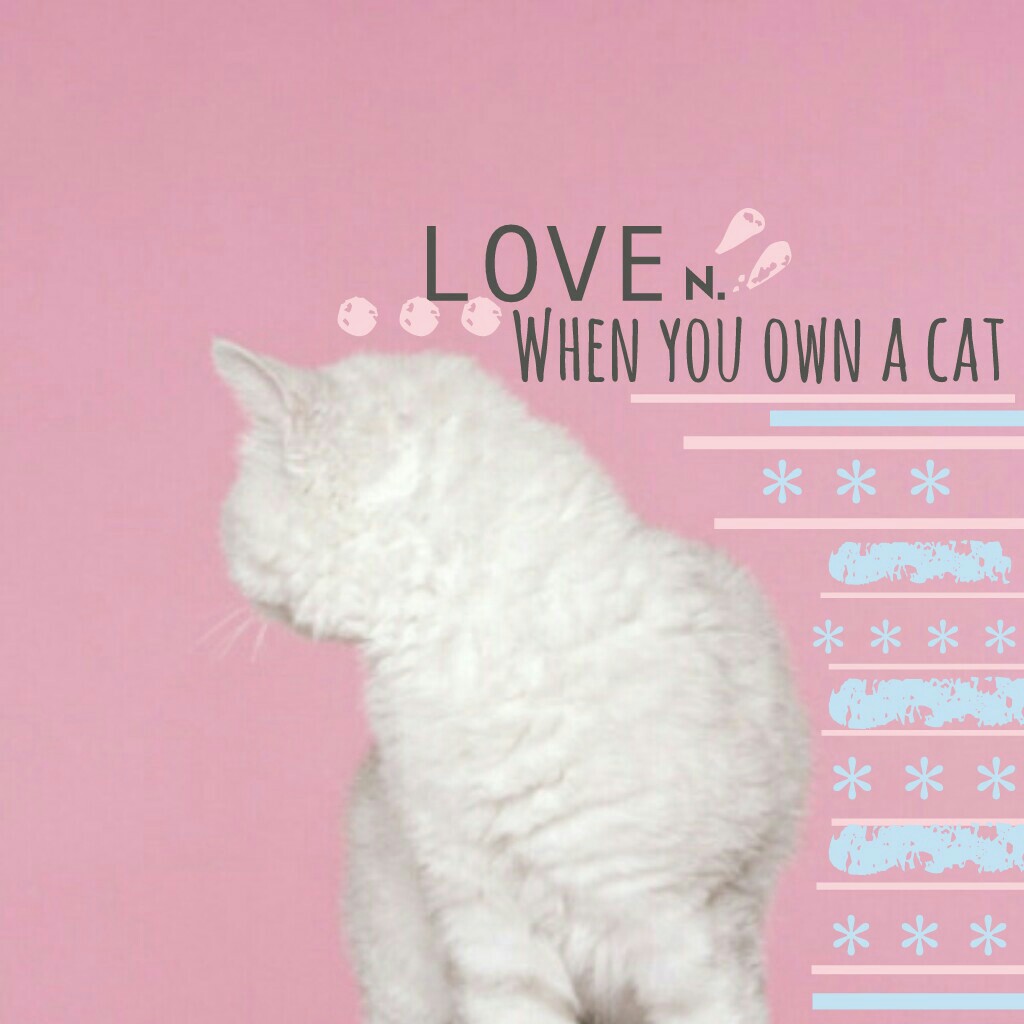 ...tap...if..you..are...alive
love when you own a cat this is like an awesome quote guys I love cats 
so I think that next weekend I'll do a flower theme but.. things can change I mean you can remix themes you want me to do (REMIX bc I don't have chat)

b
