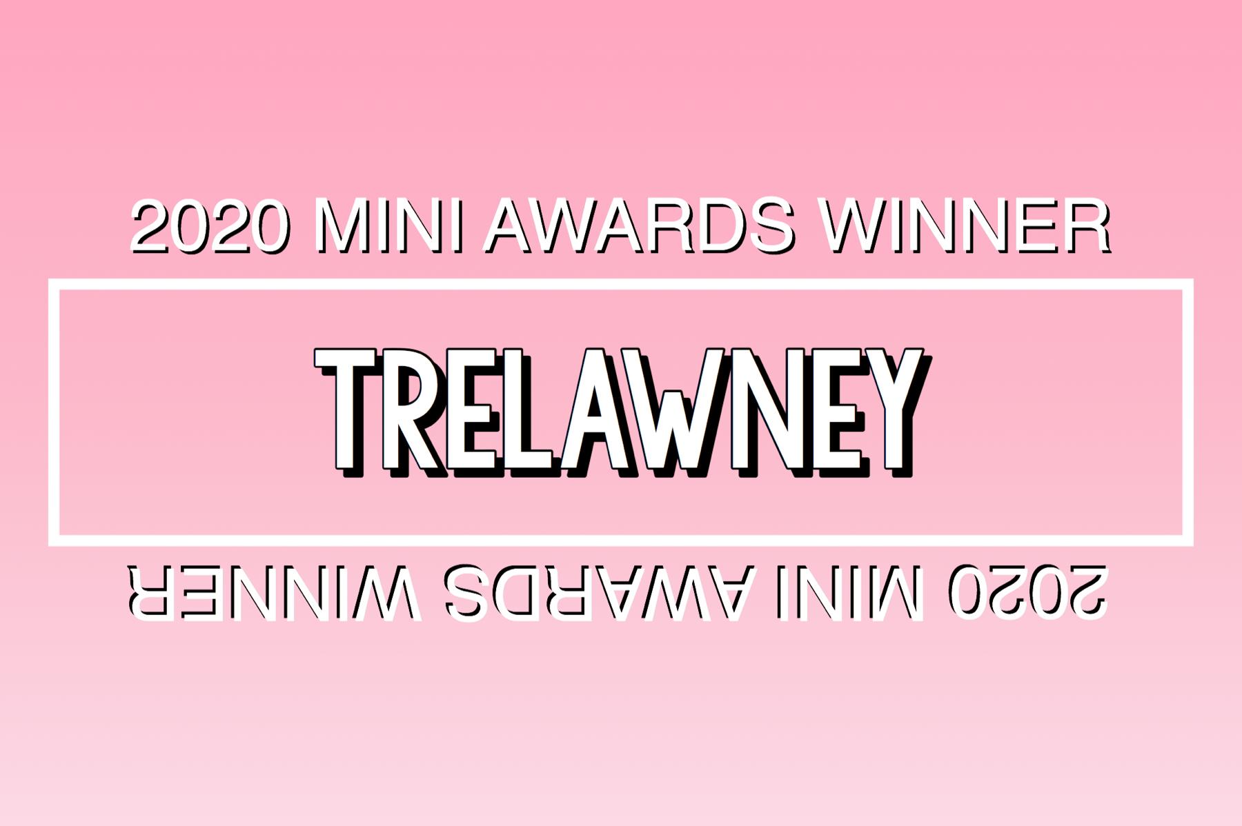 2020 Mini Awards Winner @trelawney!