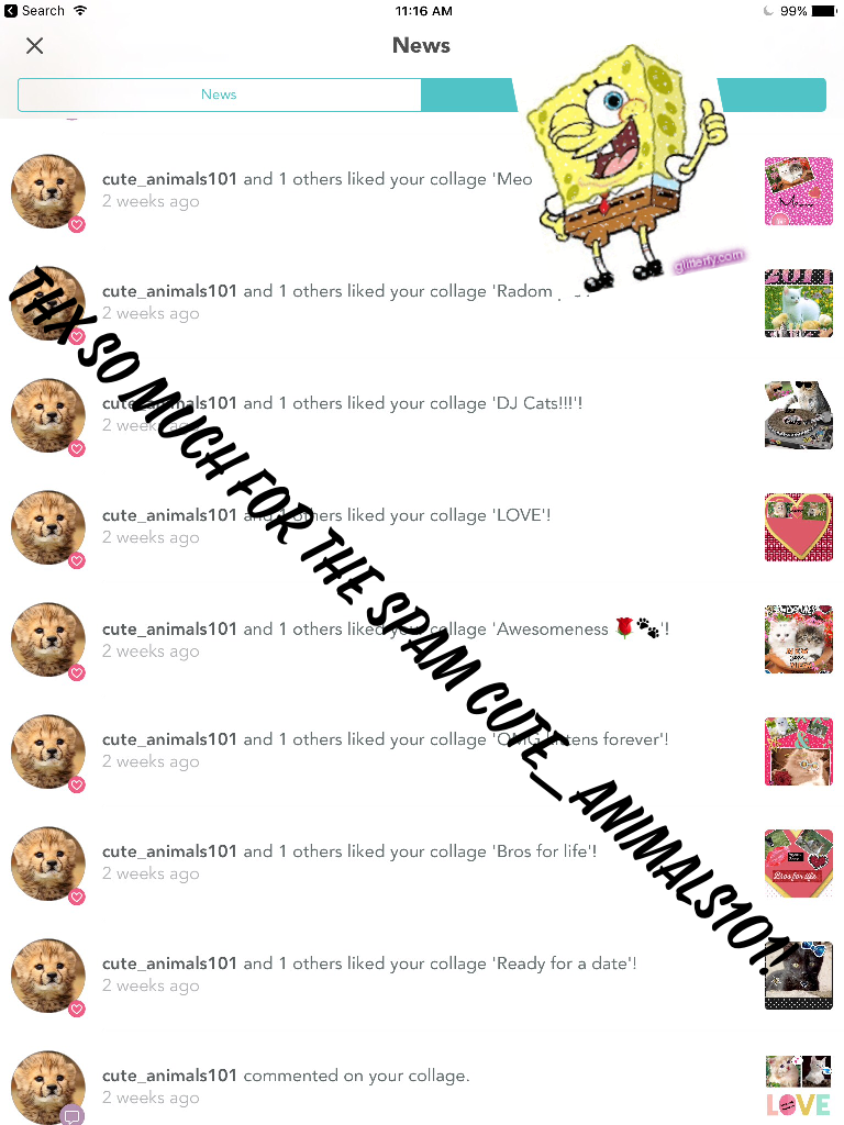 Thx so much for the spam cute_animals101!