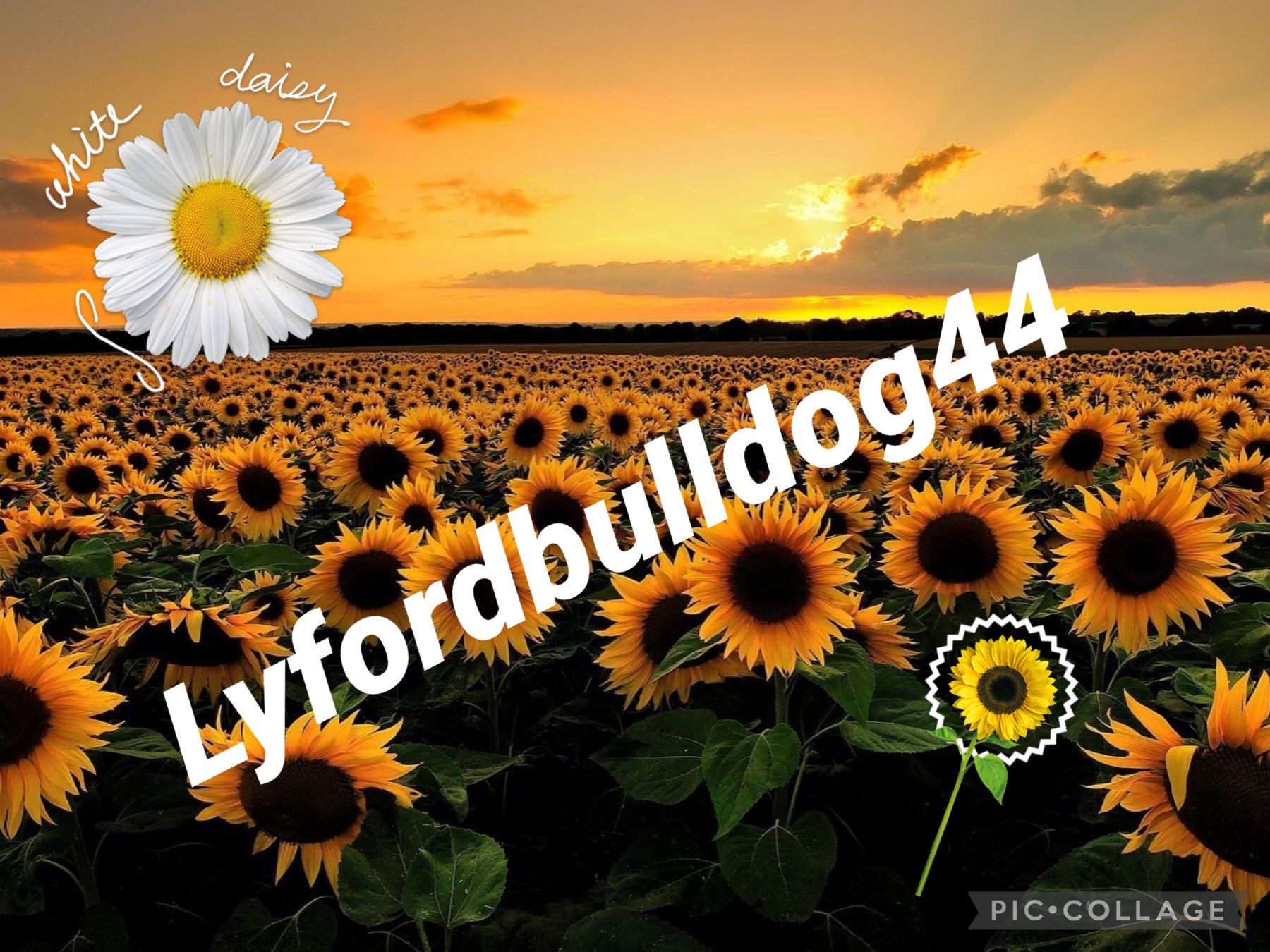 There you go lyfordbulldog44 