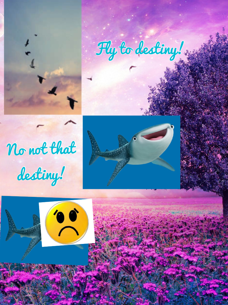 Fly to destiny!