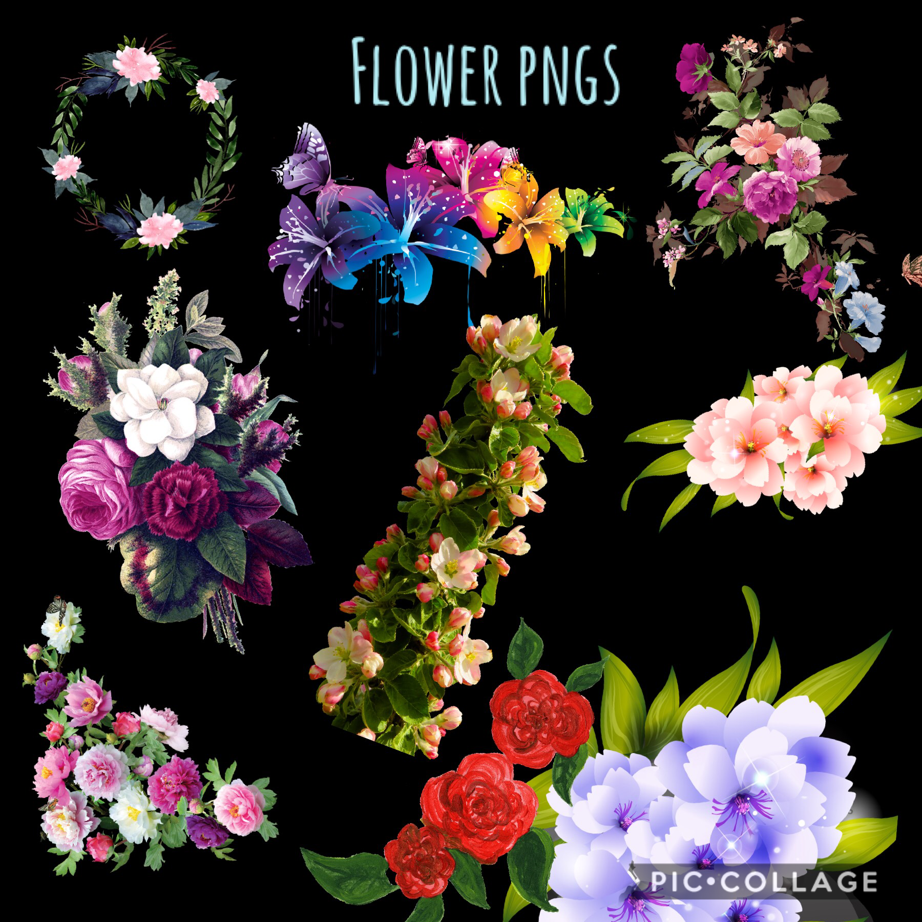 Flower Pngs