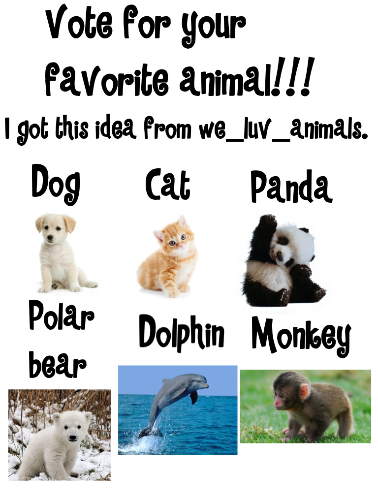 Vote for your favorite animal!!!
