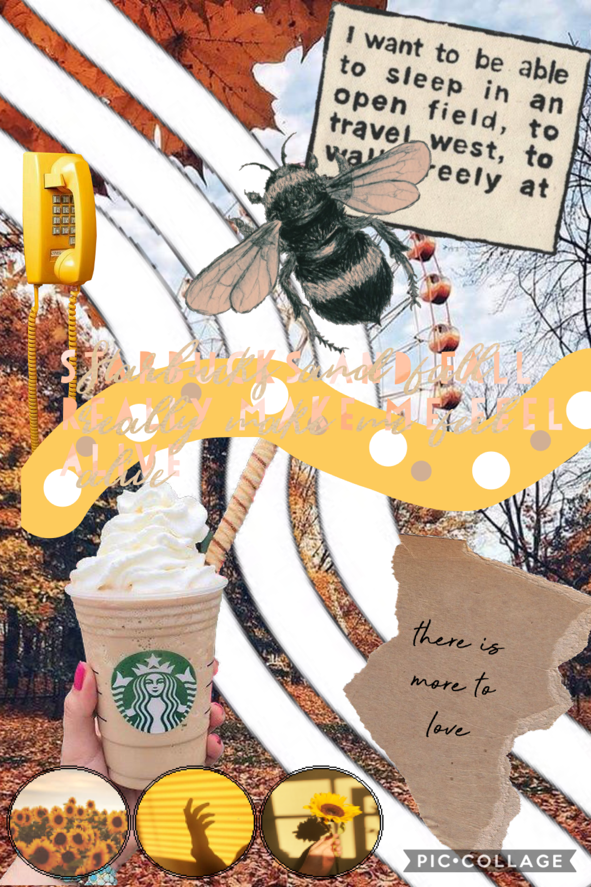 For clarification it’s Starbucks and fall really make me feel alive:)