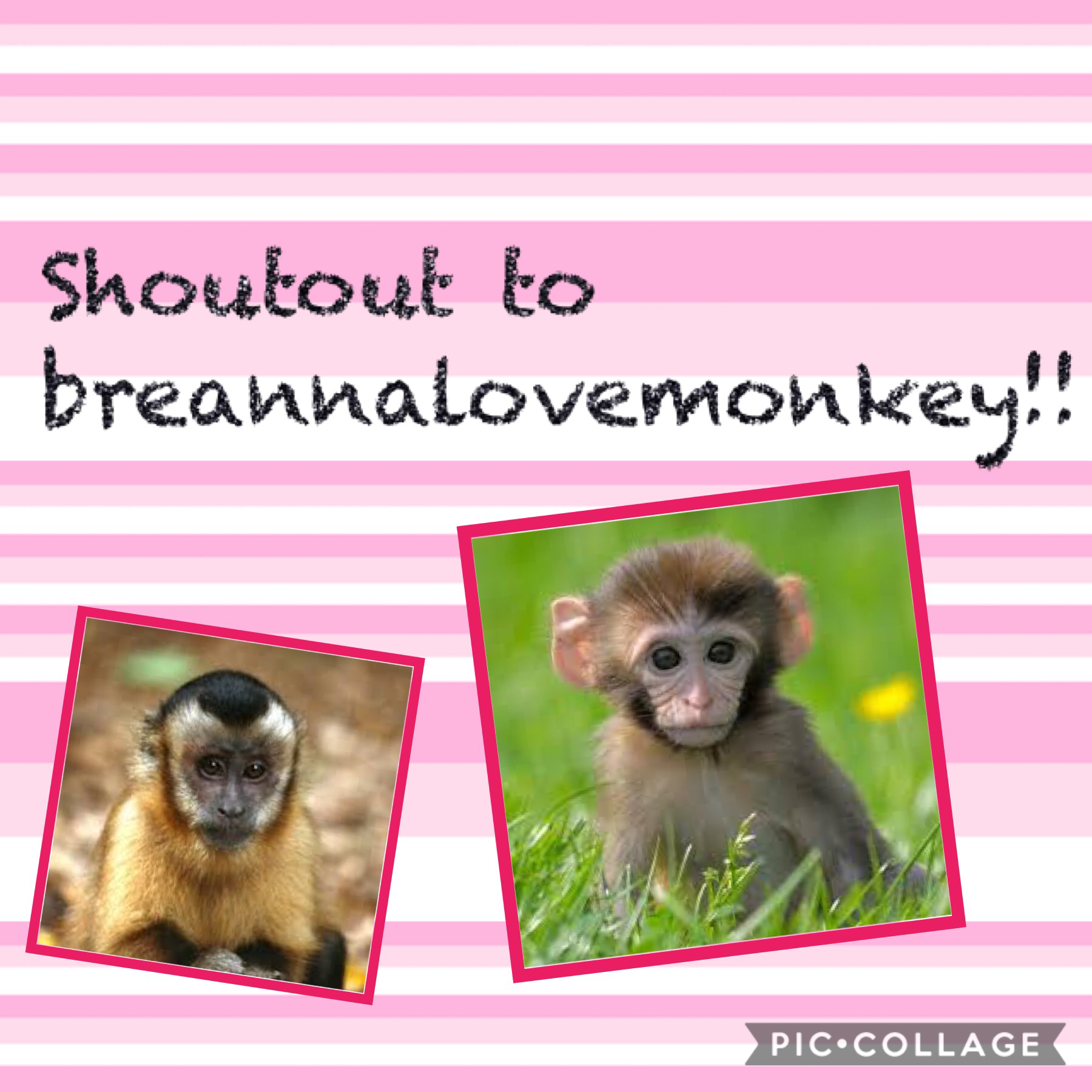 Tap!

Thanks soooo much 
 Aw the monkeys 🐒 are super cute awww
