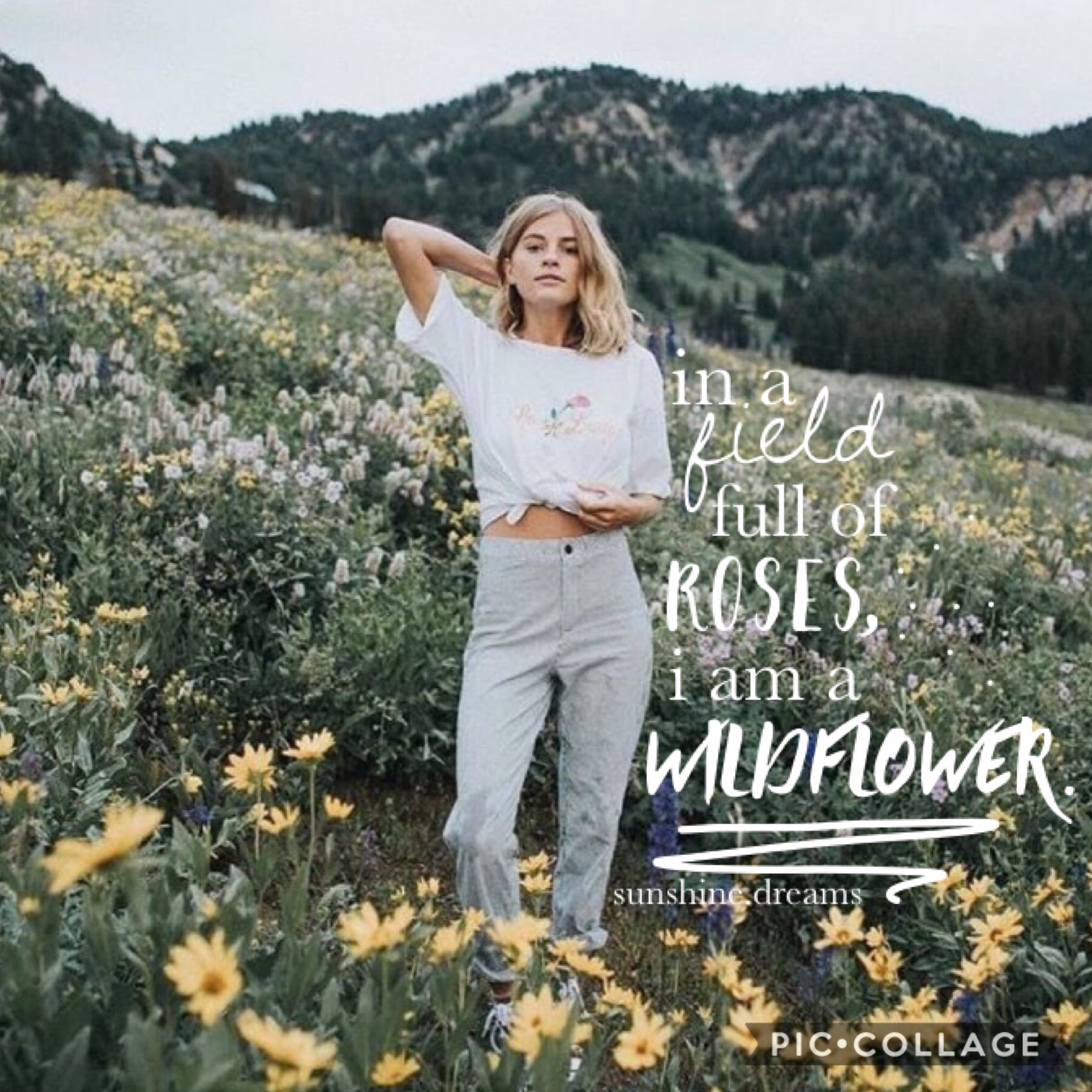 in a field full of roses, i am a wildflower🌾

wow, I’ve been posting a lot lately. Feeling very inspired.