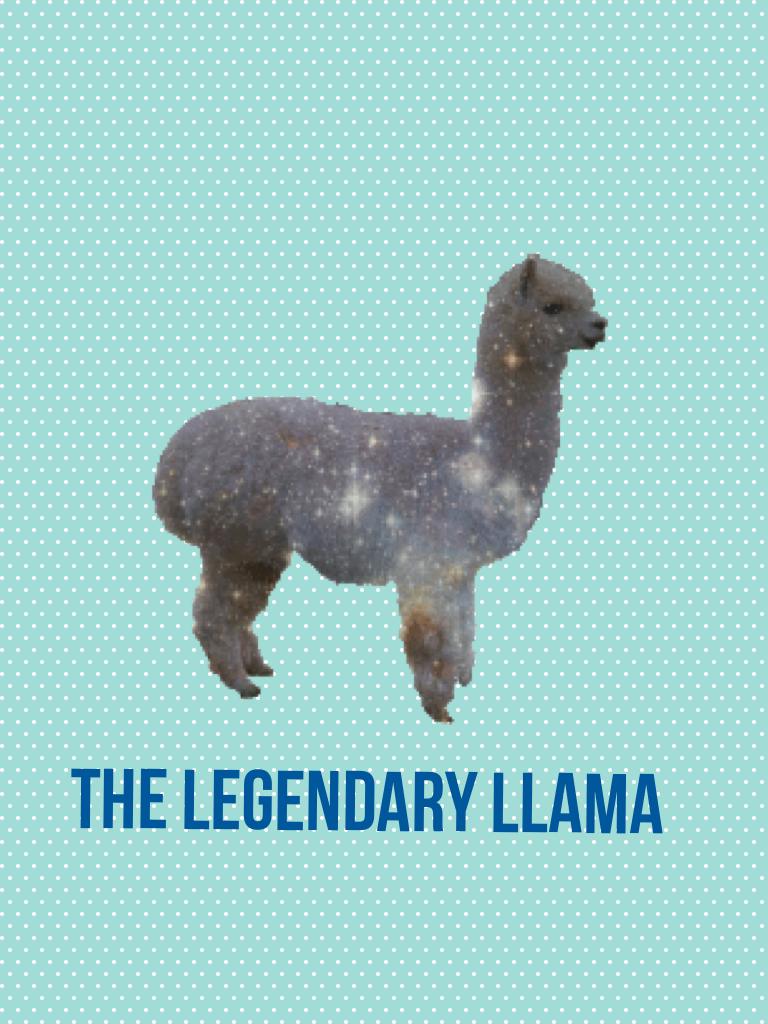 The legendary llama 