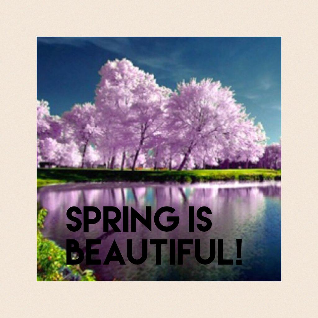 Spring is beautiful!