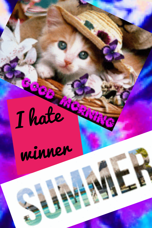 I hate winner 