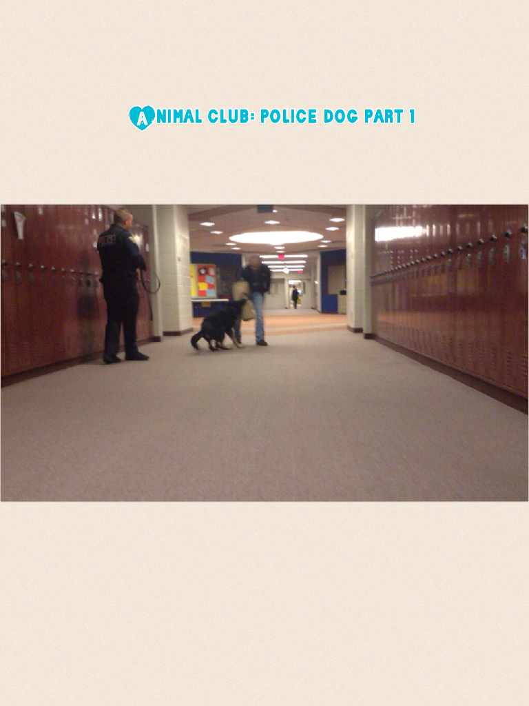 Animal club: police dog part 1