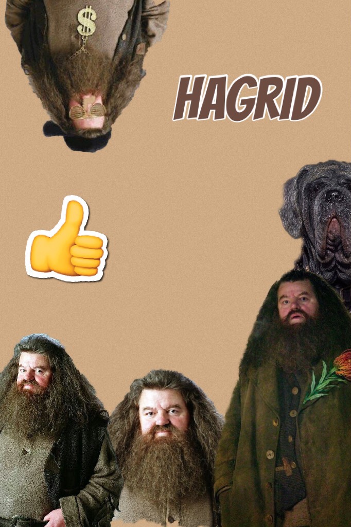 Hagrid is the best! 😛 #Hagrid