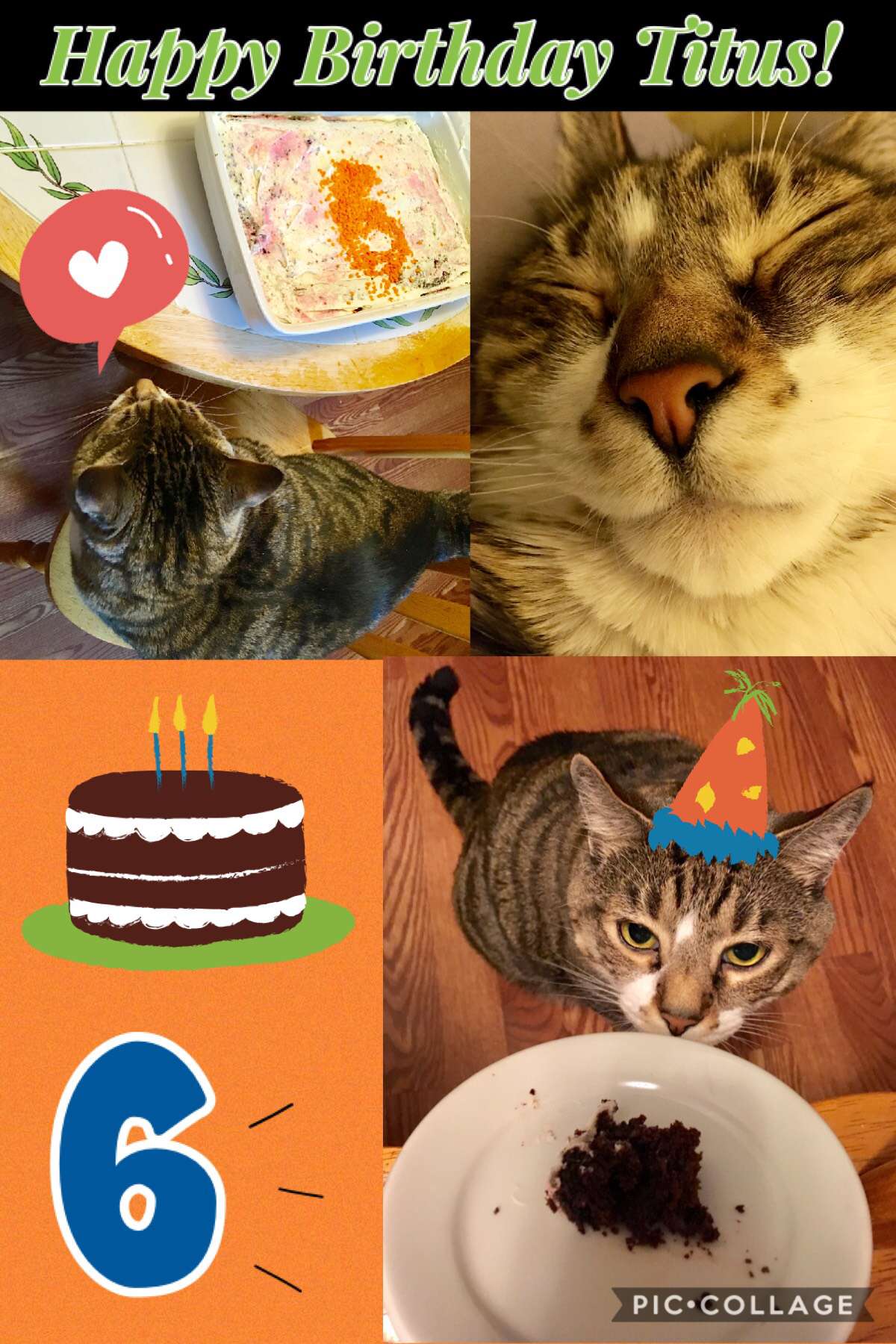 🎈His birthday was yesterday! 😸 🎉 Technically he’s 42 now. 😆 He’s quirky and loves sweets, so I made him a cake the other day! 🎂 Ik it looks crāppy, but it’s pretty good. 😹 I love him sm. 😽 💚 It was International Fairy Day too! 🧚🏻‍♀️ Update coming later. ⏰