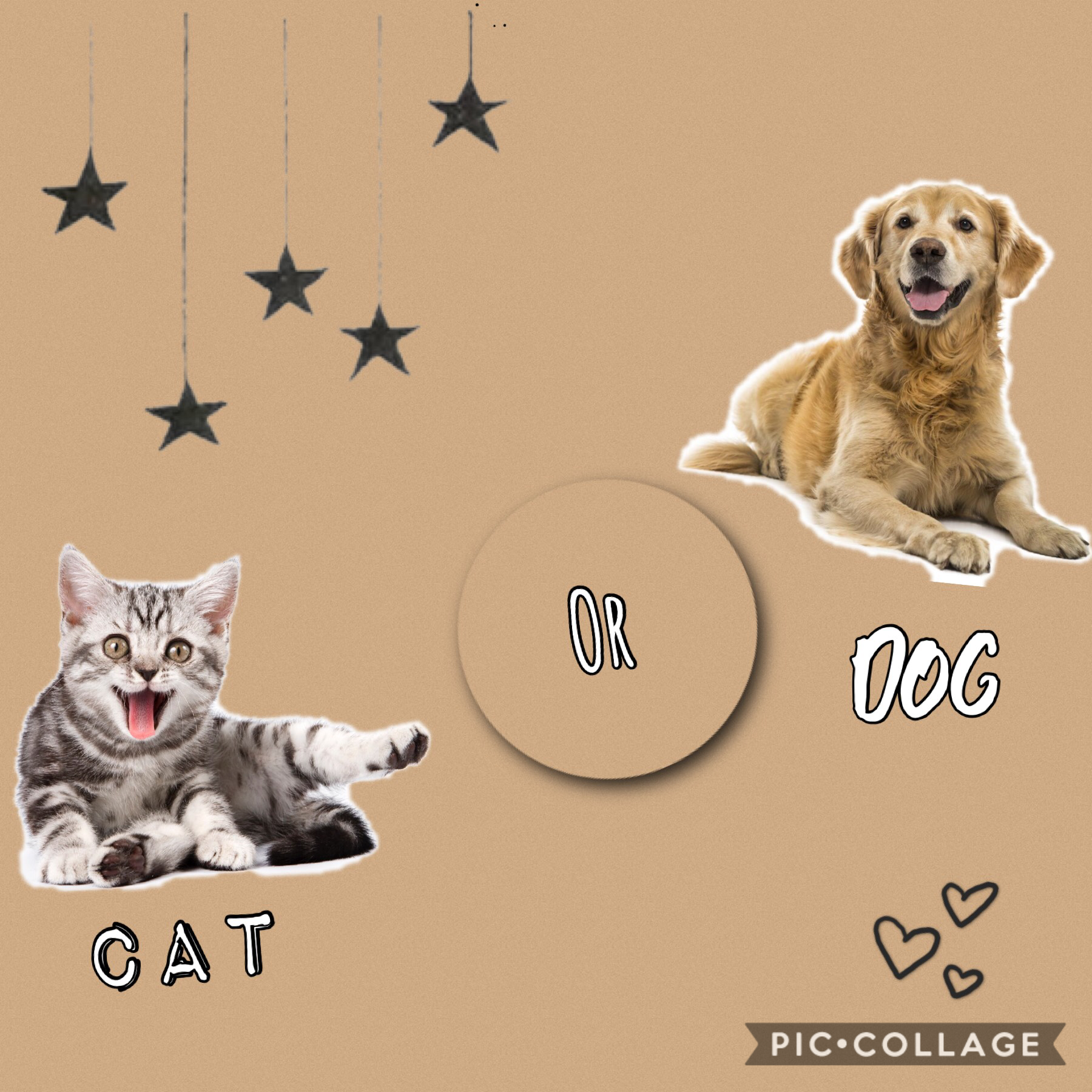 🐱 Cat Or 🐶 Dog?