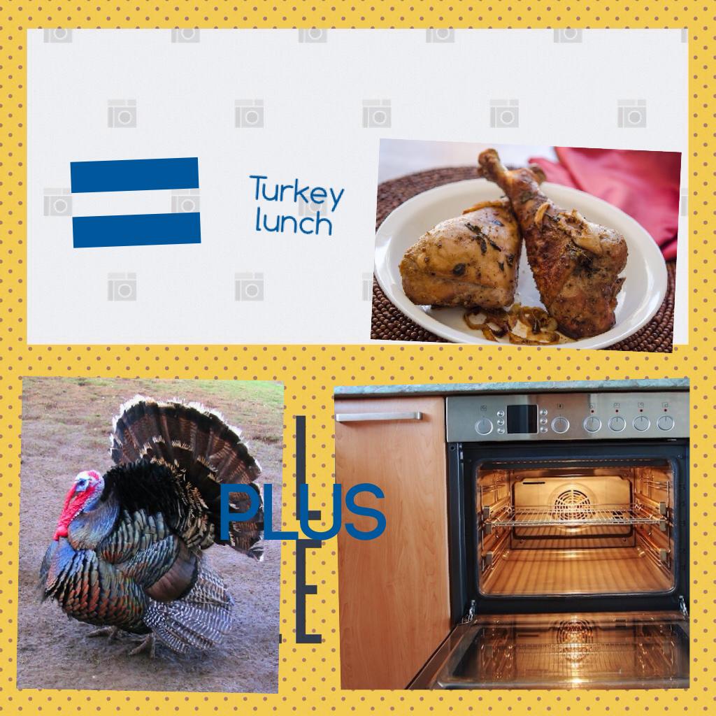 Turkey lunch 