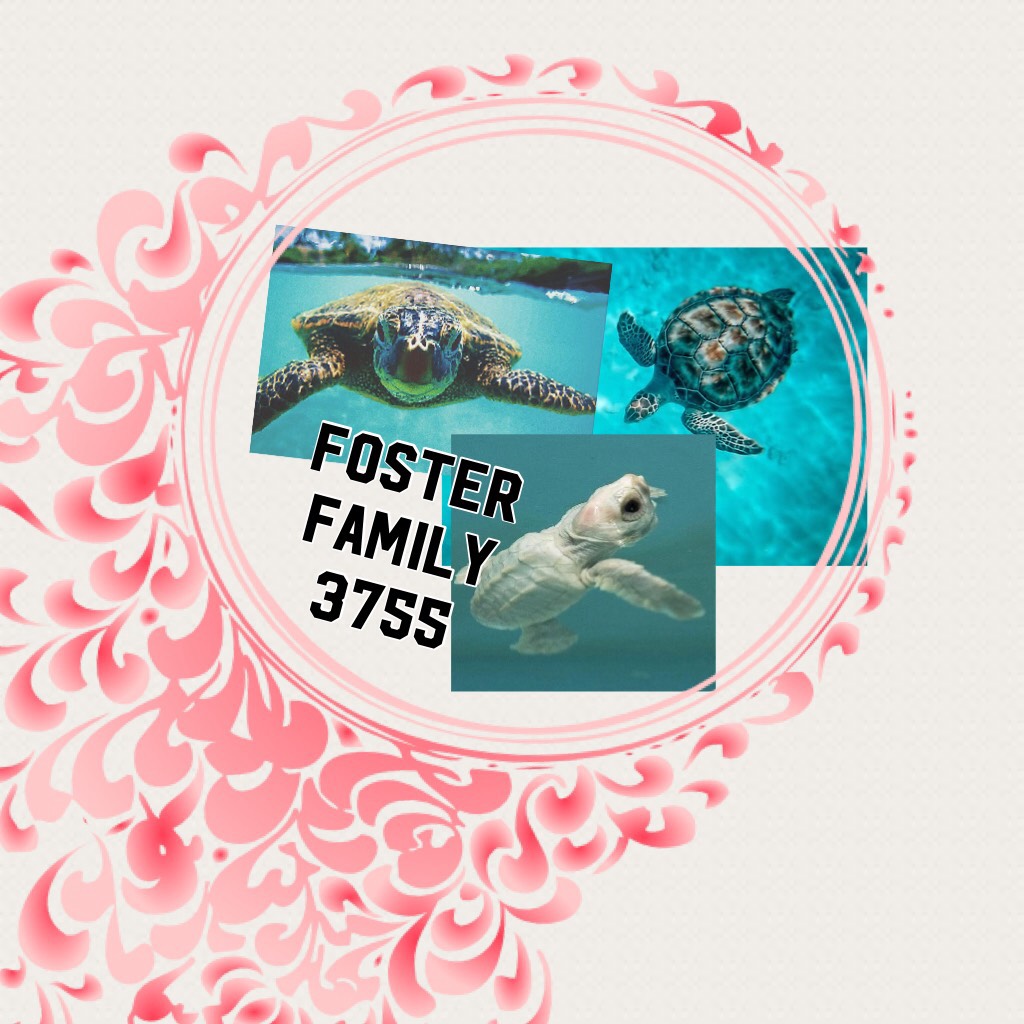 Icon for Fosterfamily 3755
