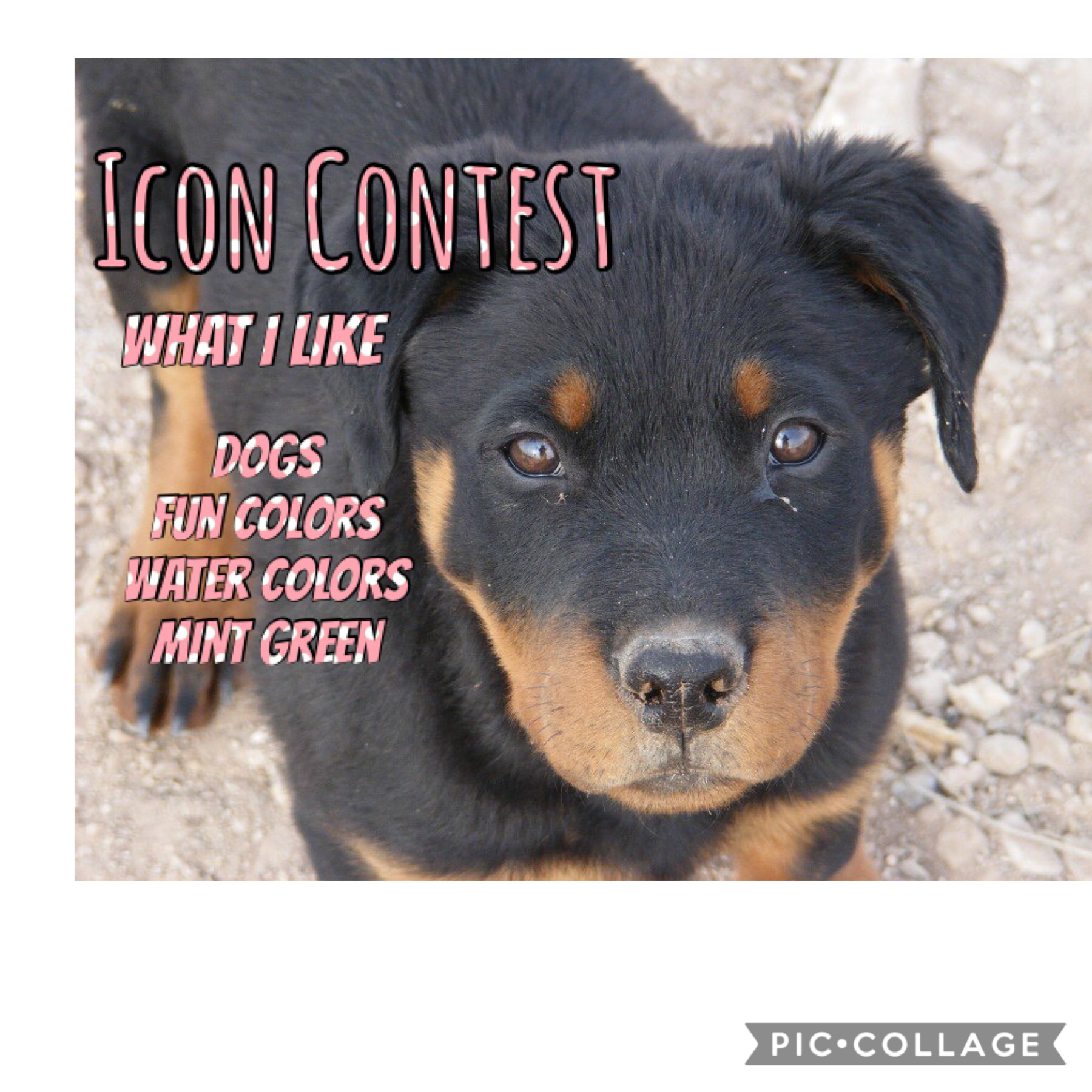 Icon contest 