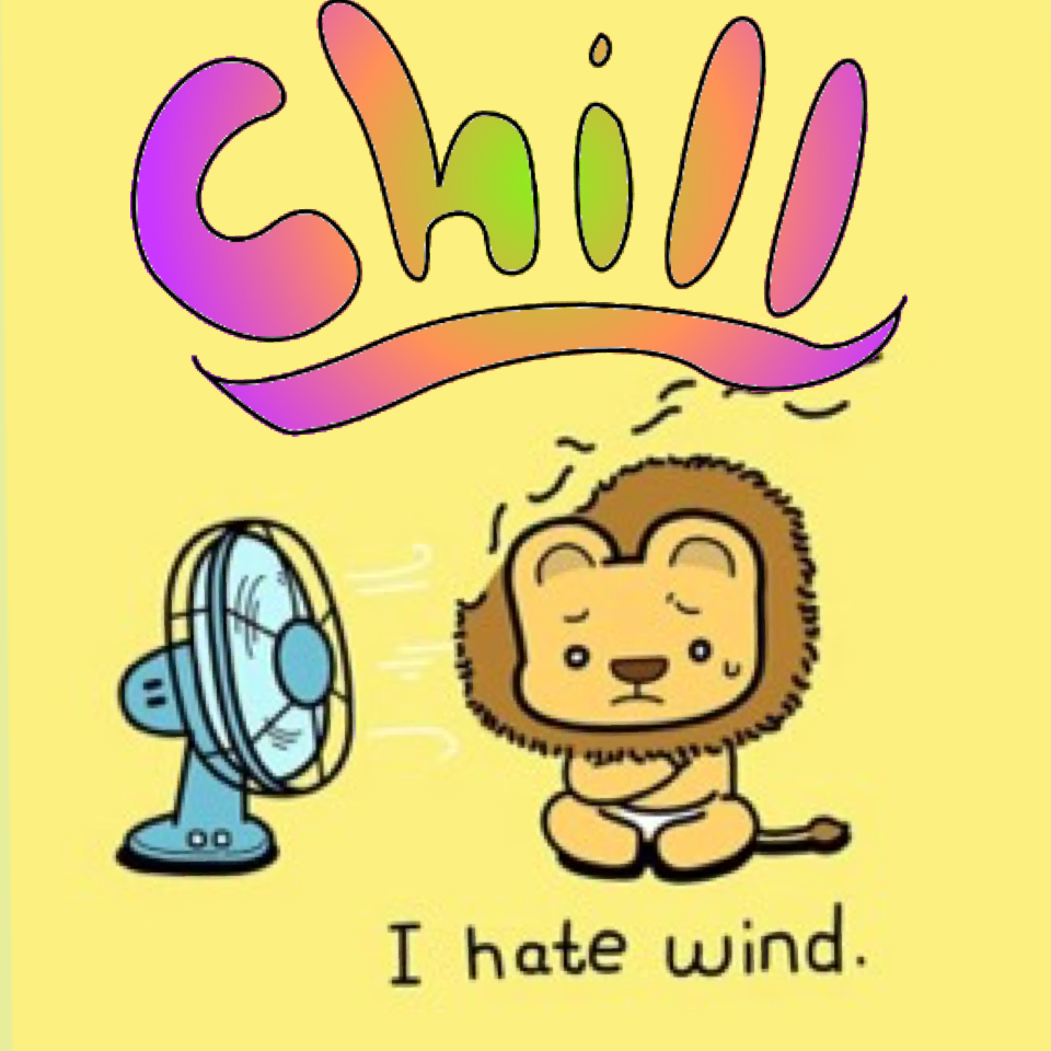 Chill I hate wind